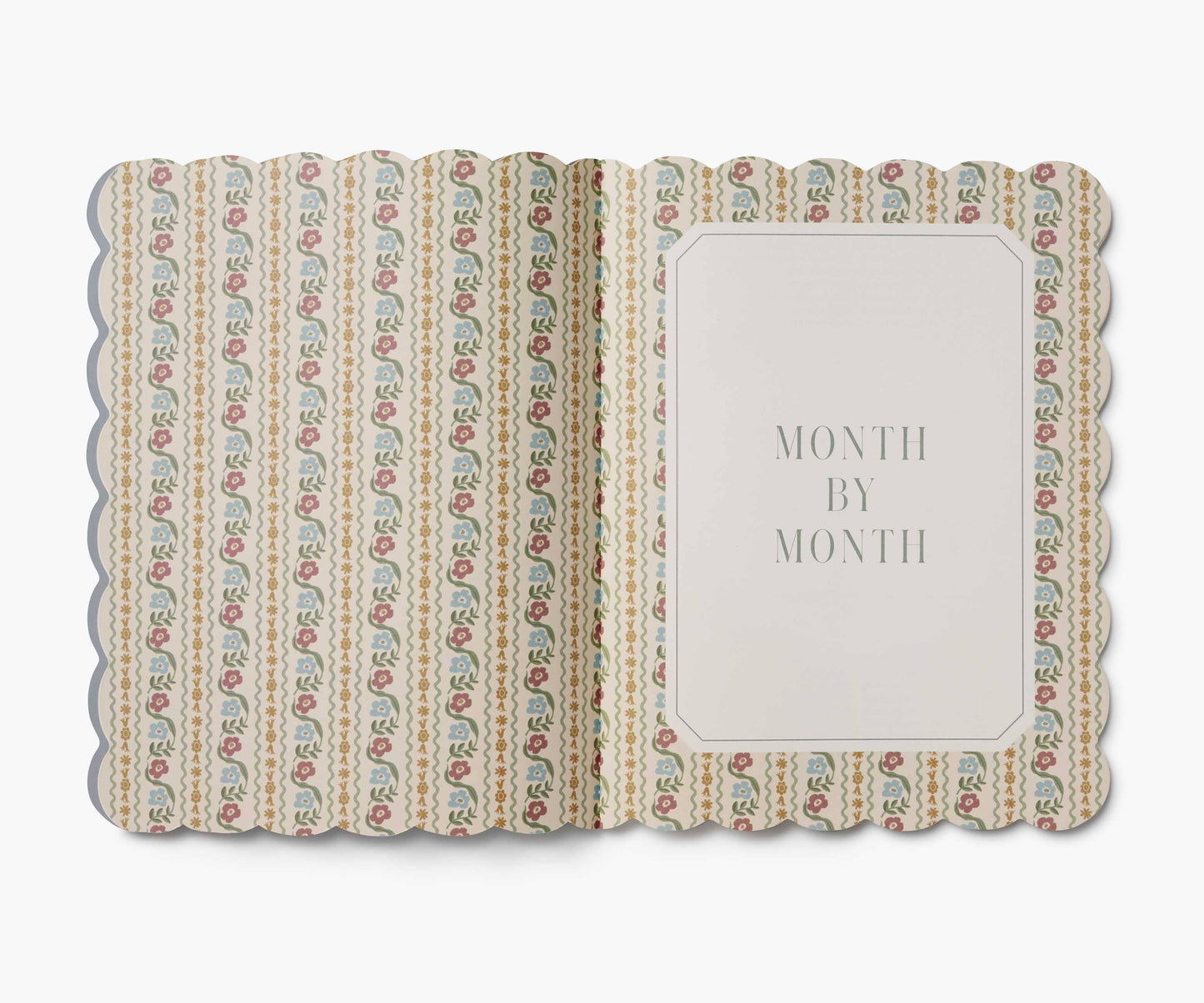 2026 Delphine 12-Month Academic Appointment Notebook