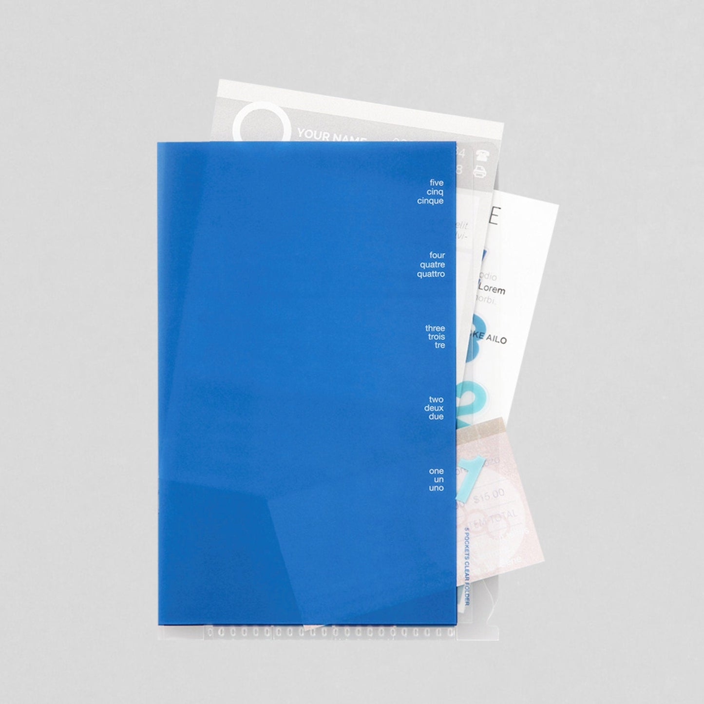 Midori MD A4 5 Pocket Clear Folder | Blue