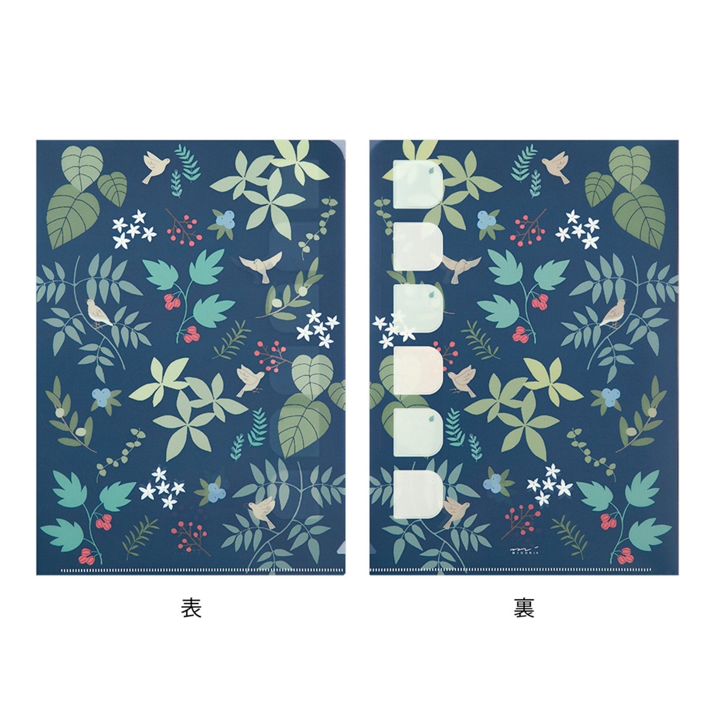 Midori MD A4 Single Pocket Index Clear Folder 2-Pack | Plants