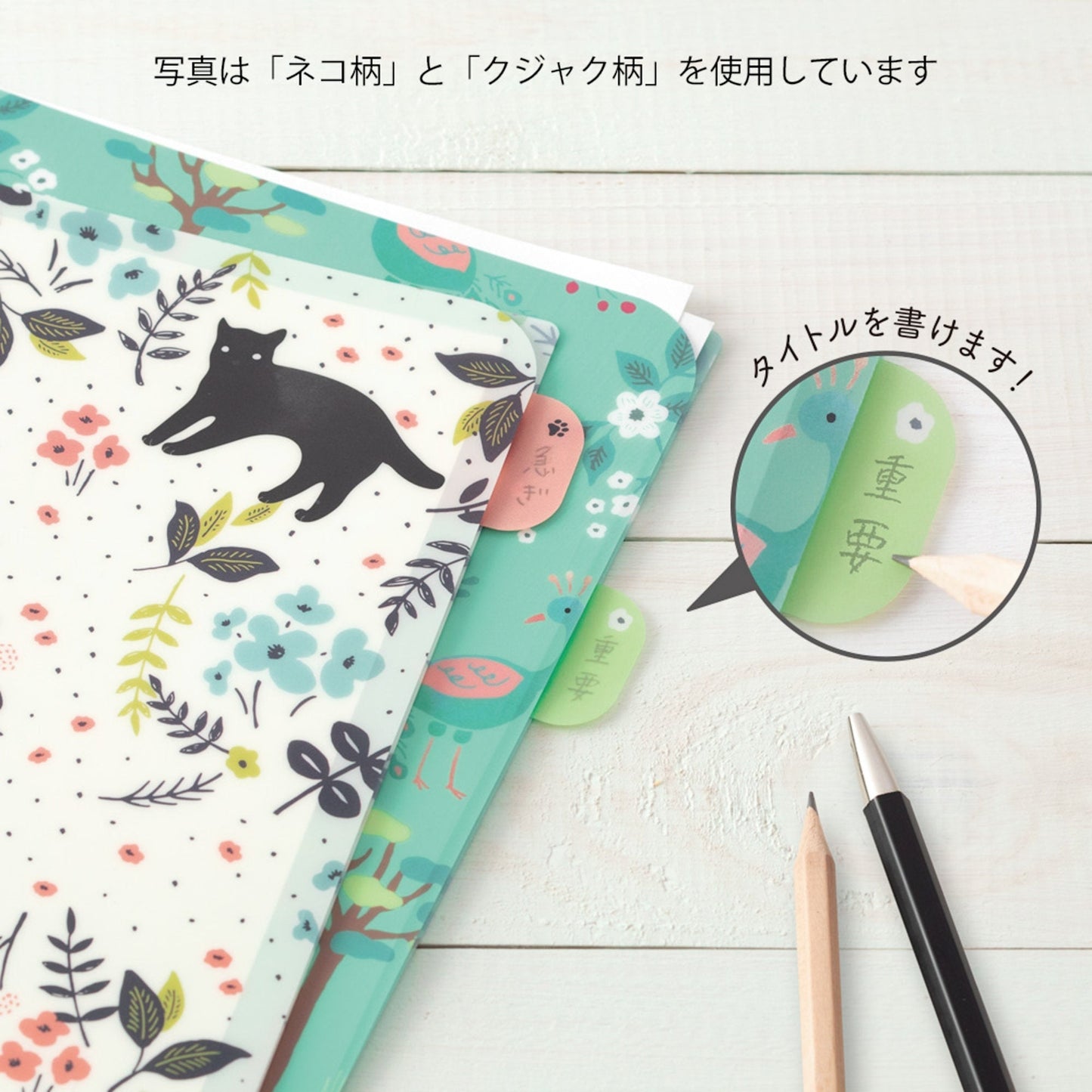 Midori MD A4 Single Pocket Index Clear Folder 2-Pack | Plants