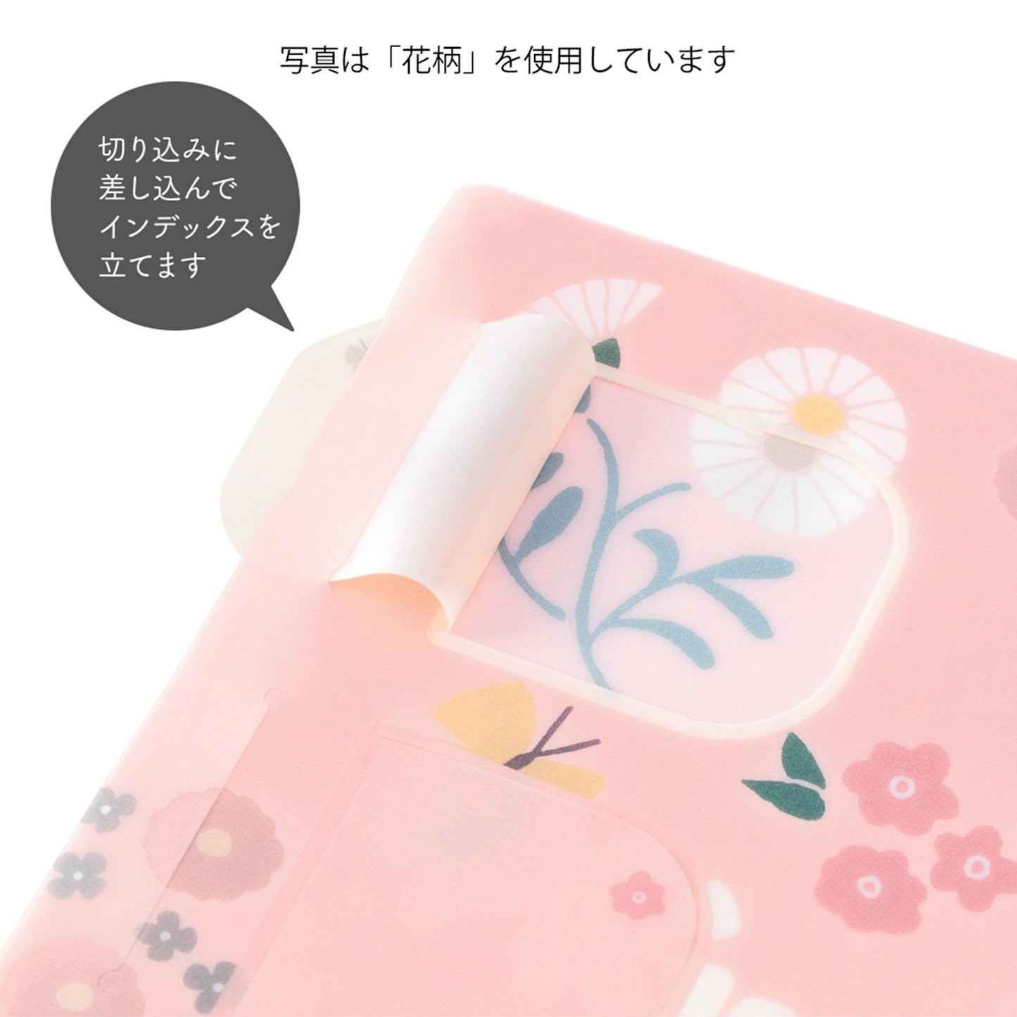 Midori MD A4 Single Pocket Index Clear Folder 2-Pack | Plants